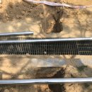 서경초교 이미지