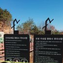 도산보건진료소 네이버블로그