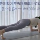 하루 1분 운동으로 올챙이배 탈출! 복부 근력 강화되는 플랭크(plank) 배우기 이미지