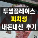 파리바게뜨 각화점 | 투썸플레이스 피치생 복숭아케이크 비주얼만 예쁜 내돈내산 솔직 후기 투썸 할인 기프티콘 기프티윈