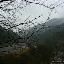 부곡2리 이미지