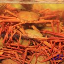 왕돌회수산 이미지