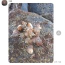 광해목장 | 11월 제주 가족 여행 . .