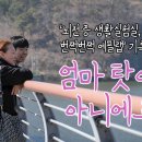 커뮤니티디자인내마음은콩밭협동조합 이미지