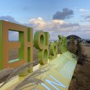 뿌리 태양광발전소 이미지