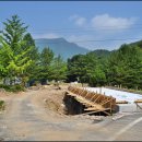 고성초등학교 이미지