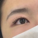 리고 | [왕십리속눈썹 내돈내산 솔직 후기 💛 리고뷰티 왕십리점]