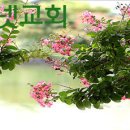 삼위일체 창조관과 과학 이미지