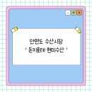 태안, 안면도수산시장 찐 맛집 '돈키호테 현미수산'(내돈내산+솔직후기)