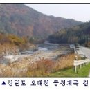 조양강 민박 Daum카페