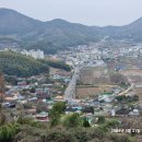 맹종죽순체험길 | 거제 맹종죽순체험길-용등산 2024. 3. 31(일)