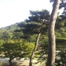 북동저수지 이미지