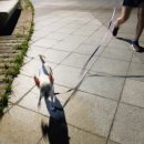 복길이집