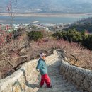 김종연농장 이미지