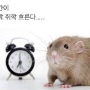 101 네이버블로그
