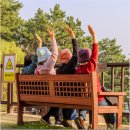 대도공영(마을버스) | 충남 보령 가볼 만한 곳 한국식 정원 보령 죽도 상화원 보령 여행