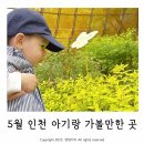 나비공원1(자연교육센터) | 5월 인천 아기랑 가볼만한 곳 인천나비공원 자연교육센터