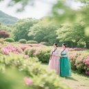 진달래자판기