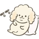 은행정육식당