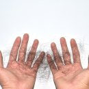 이든 연합의원 이미지