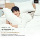 세사리빙산격