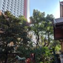 호텔(HOTEL)3&4 | 상하이, 중국 상하이 'Hengshan Moller Villa Hotel (몰러빌라호텔)' 3박 4일 후기 (2025.12.18~12.21)