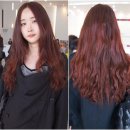 오렌지헤어닷컴 한국경제