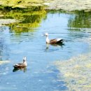 백련낚시터 이미지