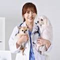 다산 봄 동물병원 이미지