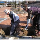 종합  안내판 이미지