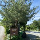 맷골 | 제천 계곡펜션 / 독채펜션 맷골펜션 내돈내산내경험 후기