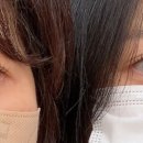 종로 혜화 속눈썹펌 잘하는곳 미모샵 후기｜혜화역 속눈썹펌 내돈내산 6년 단골 추천 (영양, 블랙틴팅)