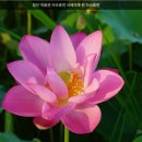 한국전견국연맹 | 함안 가볼 만한 곳 아라가야[함안 박물관] 경남 함안군
