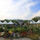 과천시민회관 야외공연장 이미지