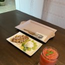 꼬빠테스