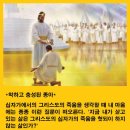 충성 Daum카페