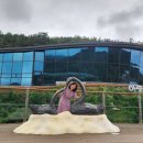 유네스코 맛의도시 전주여행 이미지