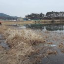 성림제 티스토리