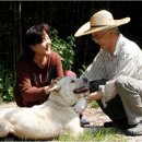 퍼스트독, 캣 이미지