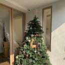 수원역로데오거리 이미지