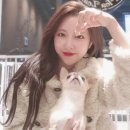 타이니펫 송파헬리오시티점 | 커피빈 송파헬리오시티점(커피빈 펫 프렌들리 매장) 반려견과 카페 데이트 후기