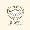 댕'스터치 이미지