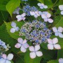 상떼빌 사우나 이미지