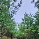 감악산 물맞이길(전망대 가는 길) | 별바람언덕 감악산 무장애나눔길