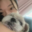 9월 일상이야기