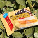 세븐일레븐 도봉지민점 | 세븐일레븐 생초코파이 | 편의점 품절대란 재입고 디저트 재고 칼로리 가격 후기