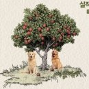 태연농장 | 🌳🐖 [영화후기] 어쩔수가없다 (2025) / 해석 / 해설 / 스포주의 / 줄거리 / 감상후기 / No Other Choice...