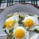 매일계란 이미지