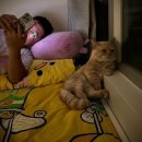 하루떡볶이 이미지