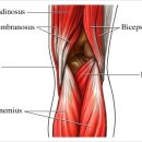 오금한의원 이미지
